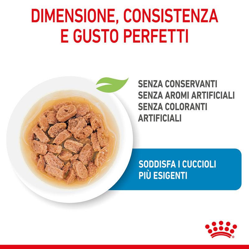 12x85g Royal Canin Mini Puppy - Cibo Umido per Cani Cuccioli 12x85g Royal Canin Mini Puppy - Cibo Umido per Cani Cuccioli